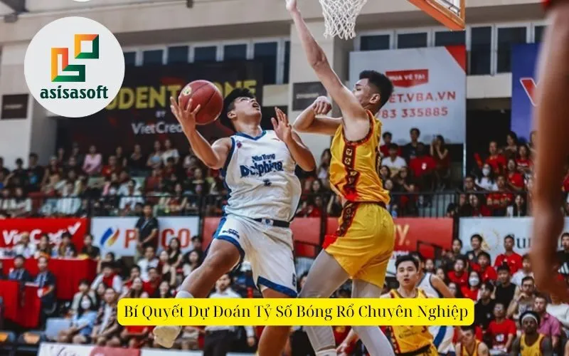 Bí quyết dự đoán tỷ số bóng rổ chuyênnghiệp