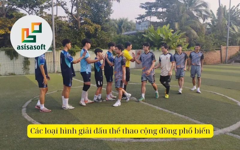 Các loại hình giải đấu thể thao cộng đồng phổ biến