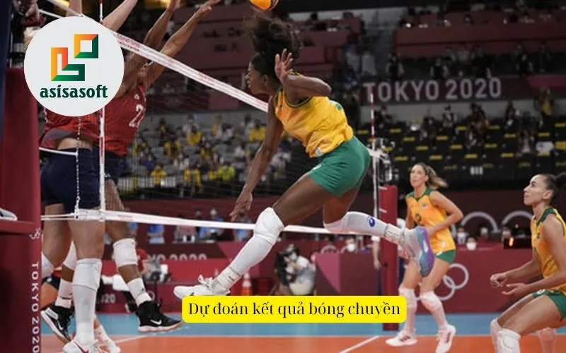 Dự đoán kết quả bóng chuyền