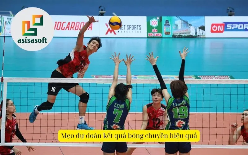 Mẹo dự đoán kết quả bóng chuyền hiệu quả