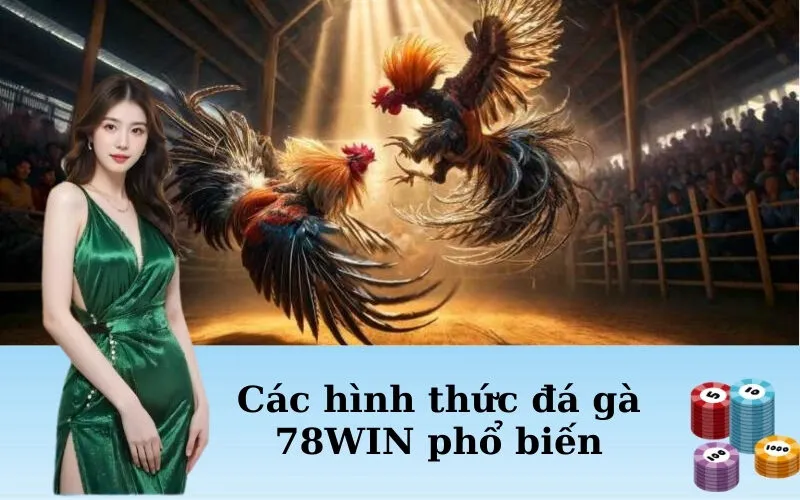 Các hình thức đá gà 78WIN phổ biến