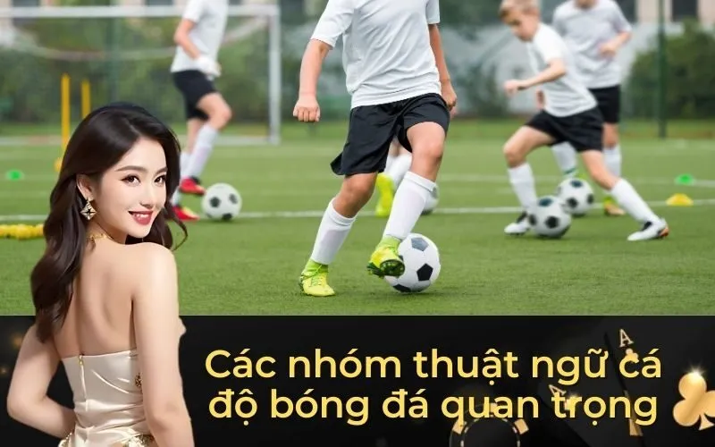Các nhóm thuật ngữ cá độ bóng đá quan trọng