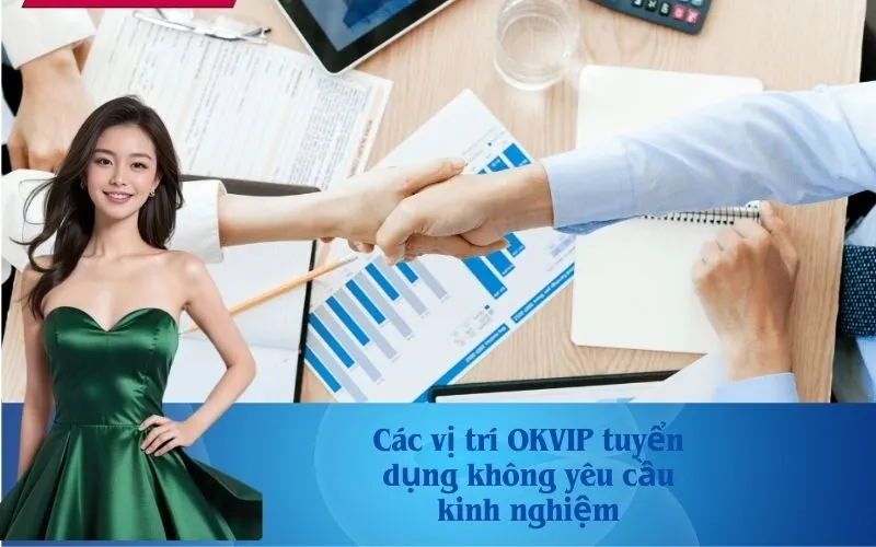 Các vị trí OKVIP tuyển dụng không yêu cầu kinh nghiệm