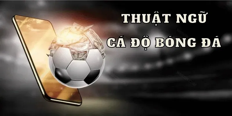 Ký hiệu, thuật ngữ thường gặp trong bảng kèo cá cược Dom88