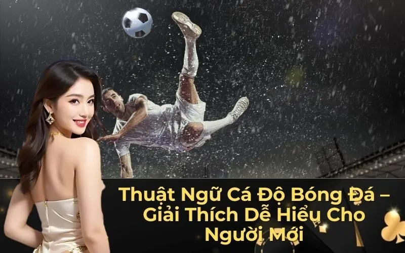 Thuật Ngữ Cá Độ Bóng Đá – Giải Thích Dễ Hiểu Cho Người Mới