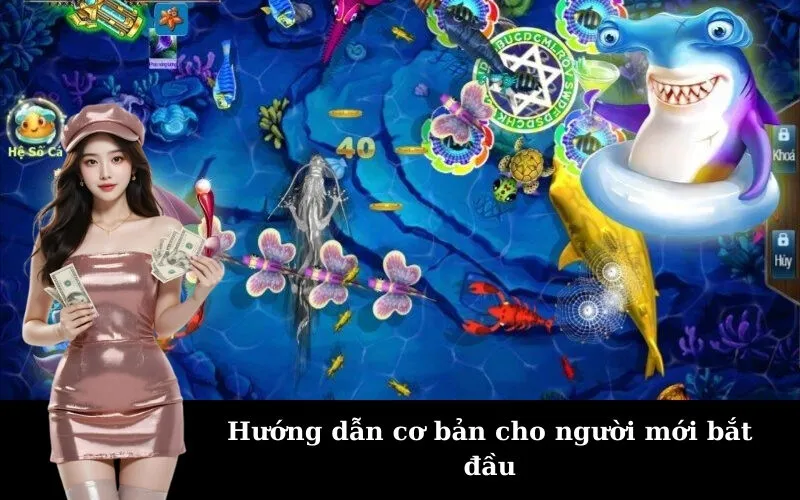 Hướng dẫn cơ bản cho người mới bắt đầu