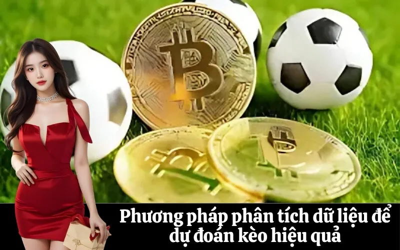 Phương pháp phân tích dữ liệu để dự đoán kèo hiệu quả